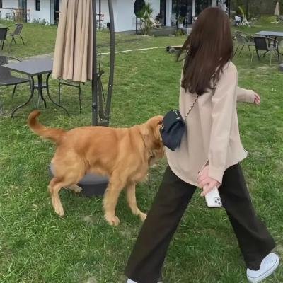 追心披头四
